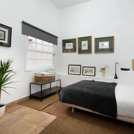 Loft Parque Cruz Santa-Cruz de Ténérife